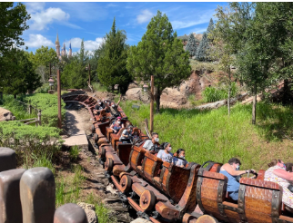 7 Dwarfs Mine Train at Magic Kingdom (available with Individual Lighting Lane Pass)
