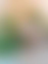 1890's Bricky House - A Cincy Airbnb Treasure for Events, Photoshoots, or Overnights