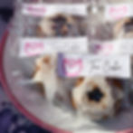 Tea Cakes