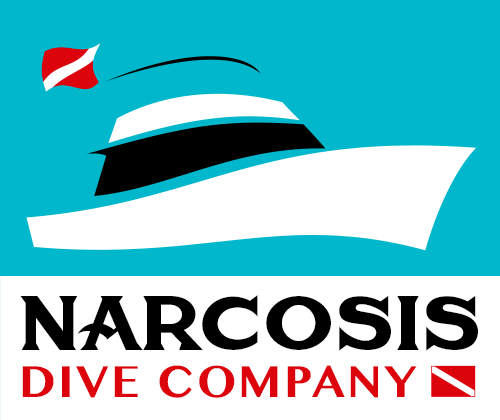 narcosis_logo.gif