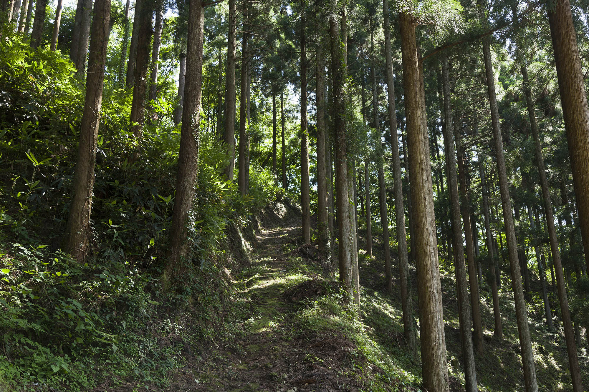石王山をめぐる散策道