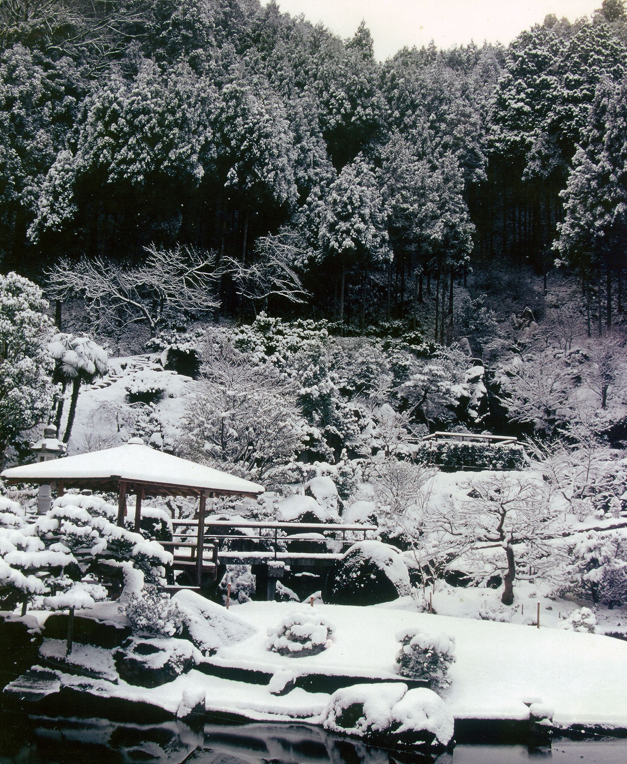 山水画の世界へ