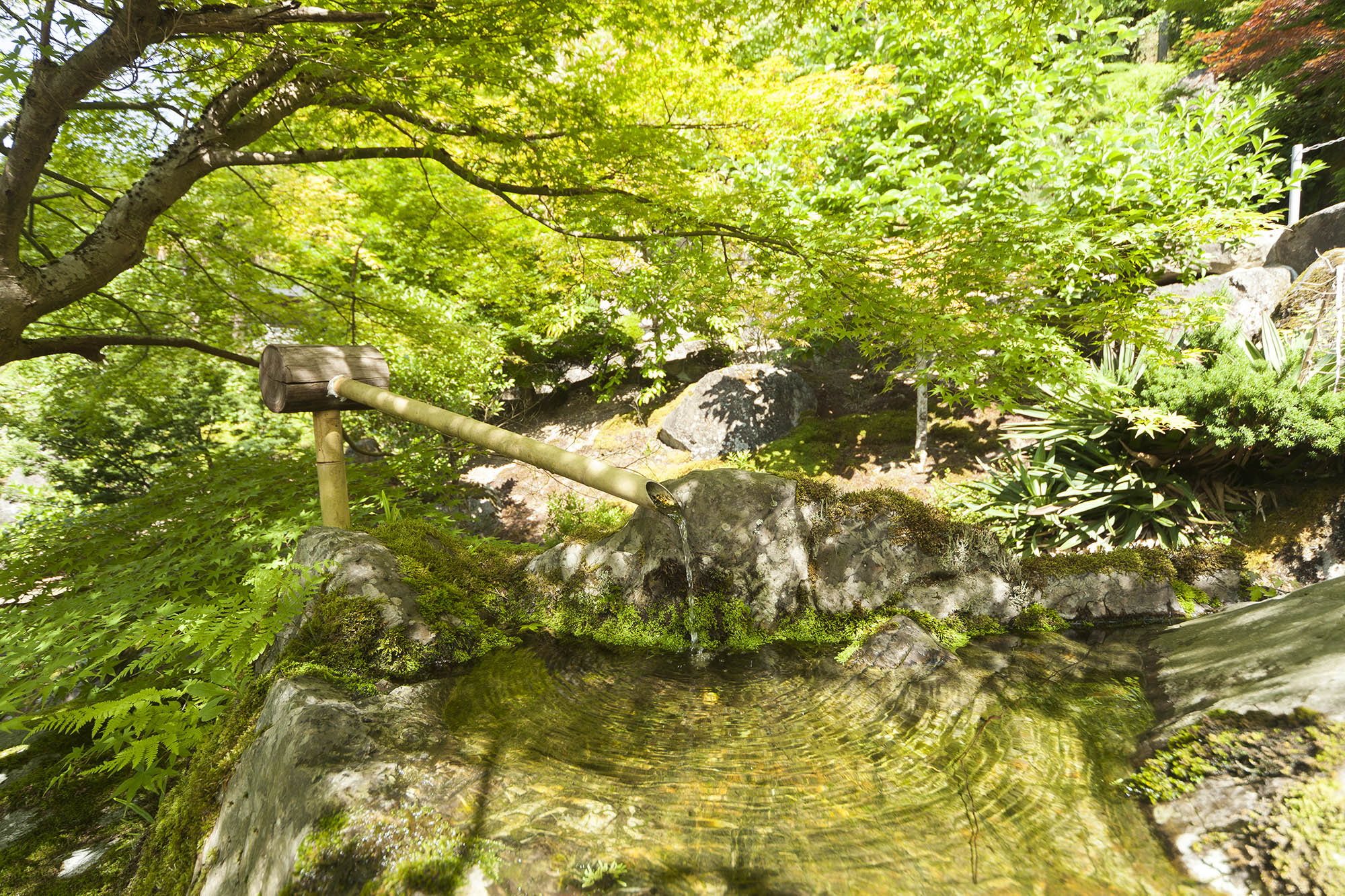 山水はそこここに仕掛け