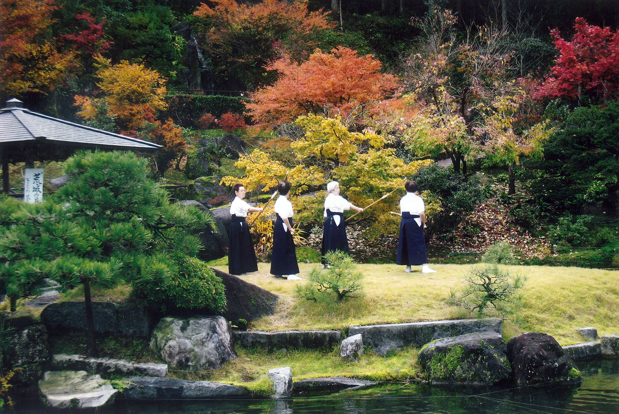 演武の展示演技