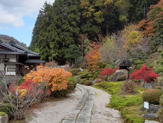 秋の紅葉が見ごろです