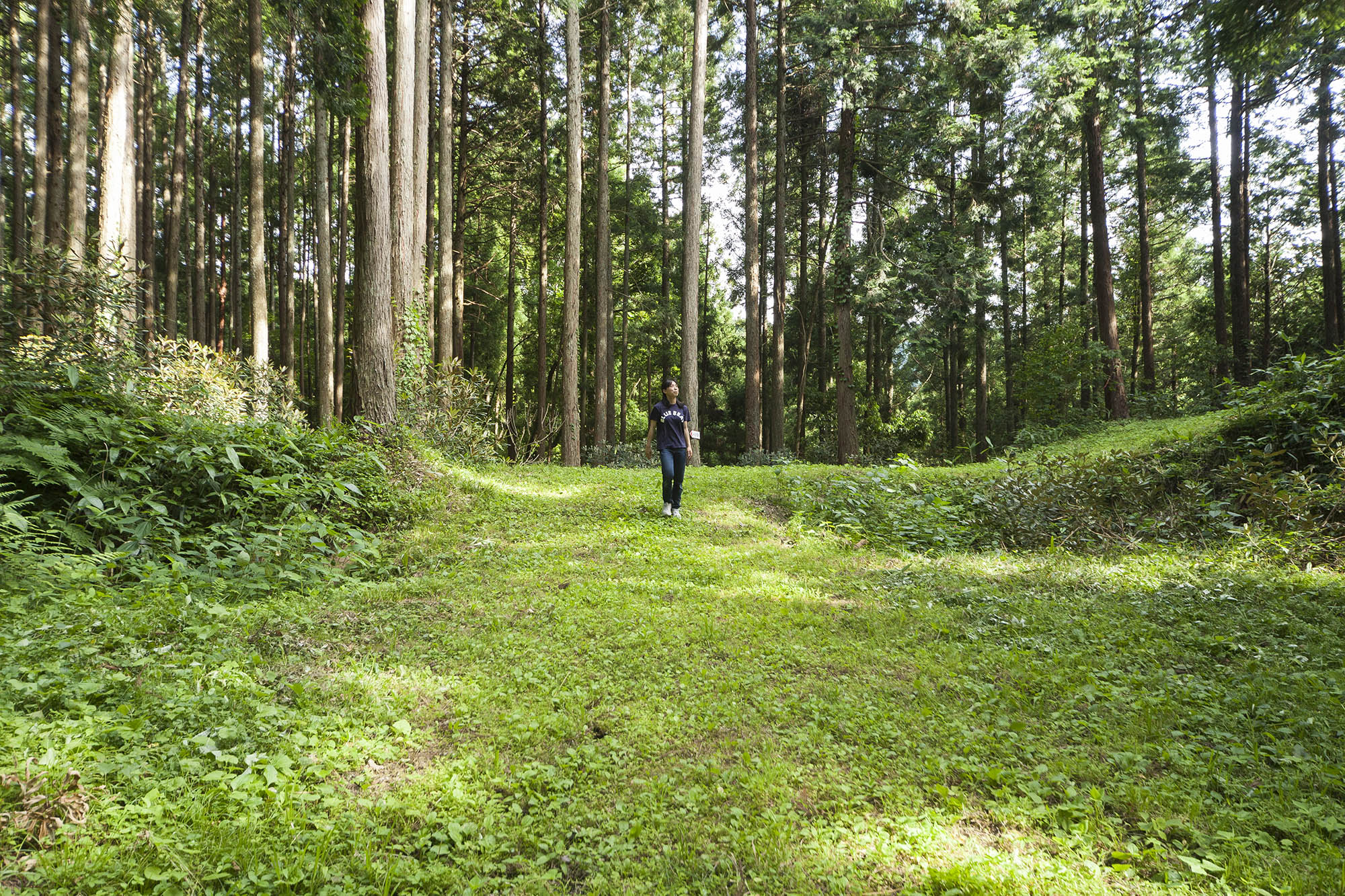 山の広場