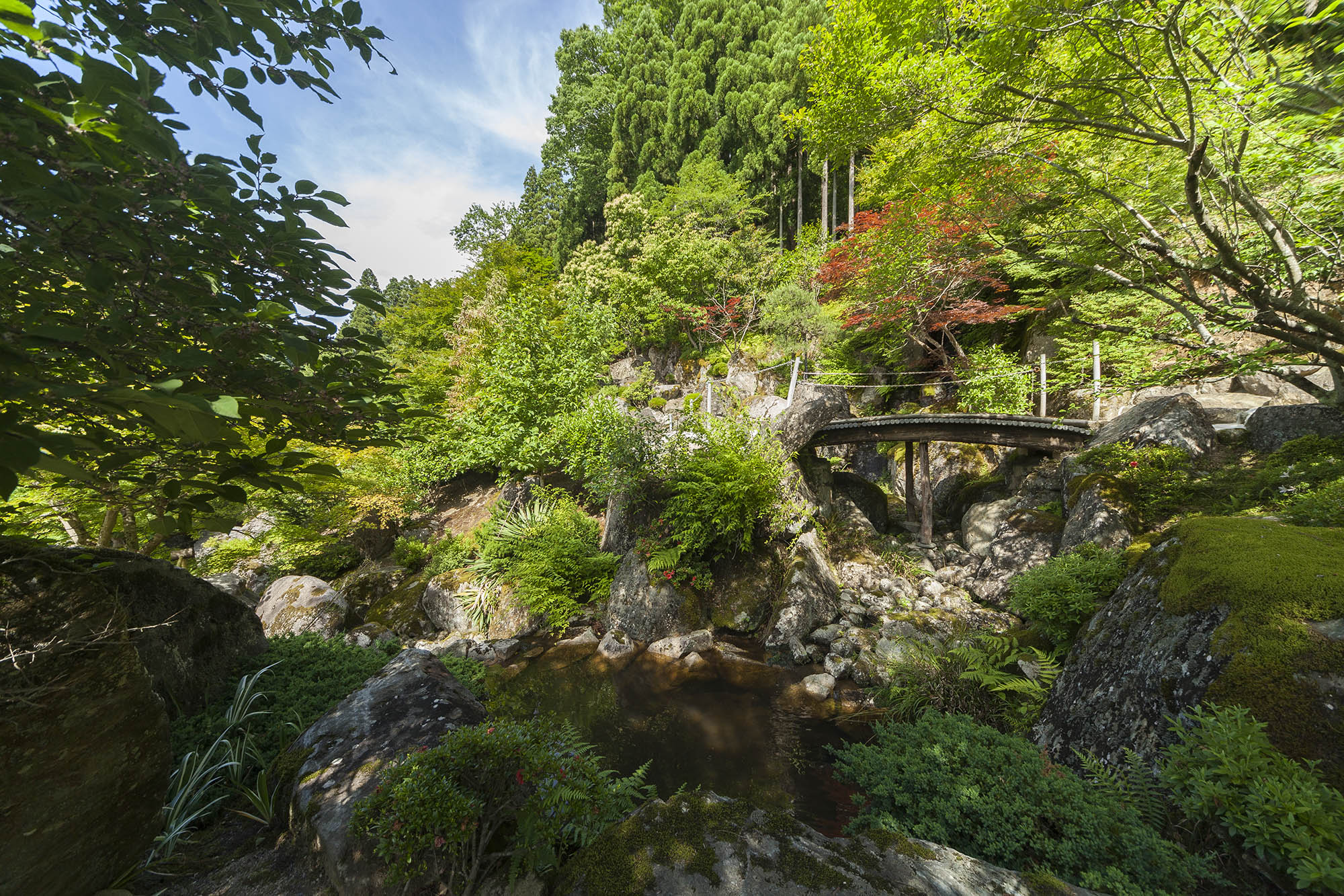 土橋下から望む石王山
