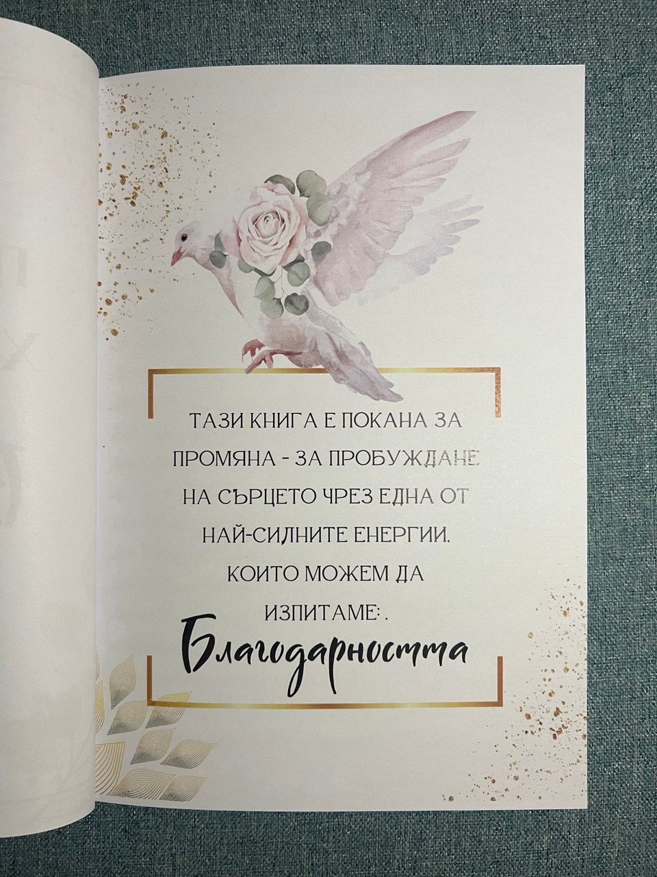 Миниатюра: 21 дневна програма за промяна чрез благодарност