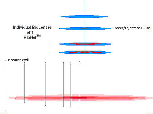 Pelorus Uses Cyclops Fluorometer to Characterize Effectiveness of Remedial Fluid Through BioNets™