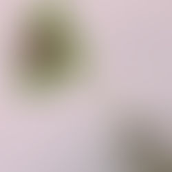 be mindful to your breathing