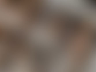 Qu'attendre un stage ?