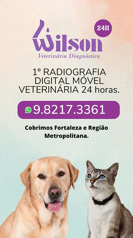 WhatsApp Image 2022-10-30 at 09.51.34.jpeg