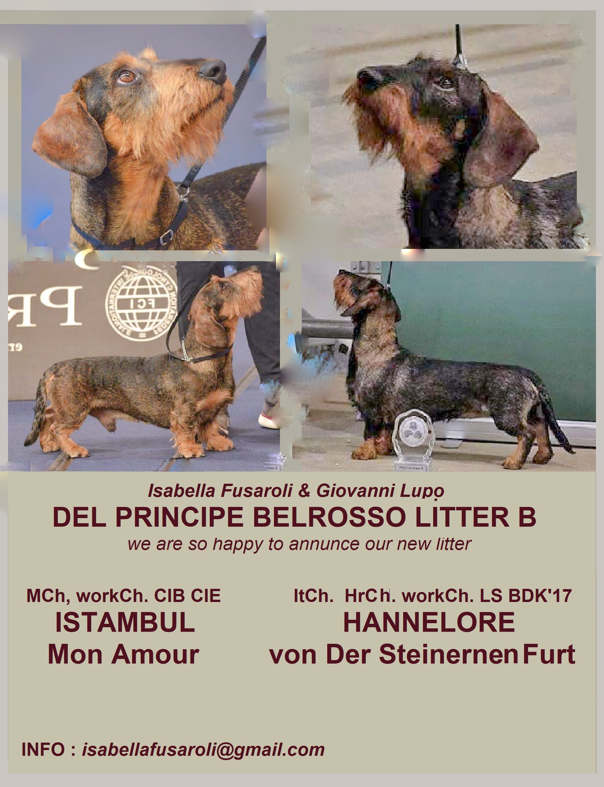News Montecassianokennel