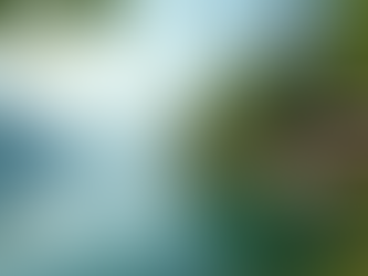 Top Reasons to Choose Akron Luxury Holidays