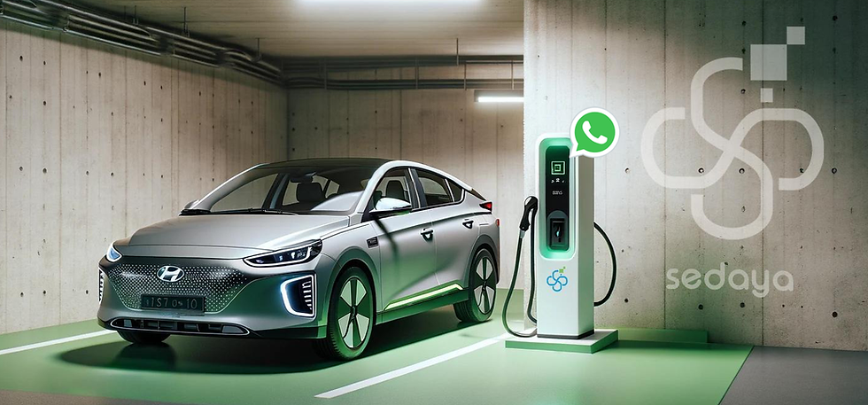 sedaya fast ev charger indonesia.png