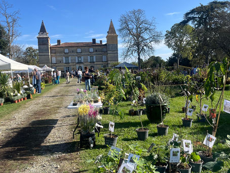 Mon calendrier des foires aux plantes 2025 (automne)