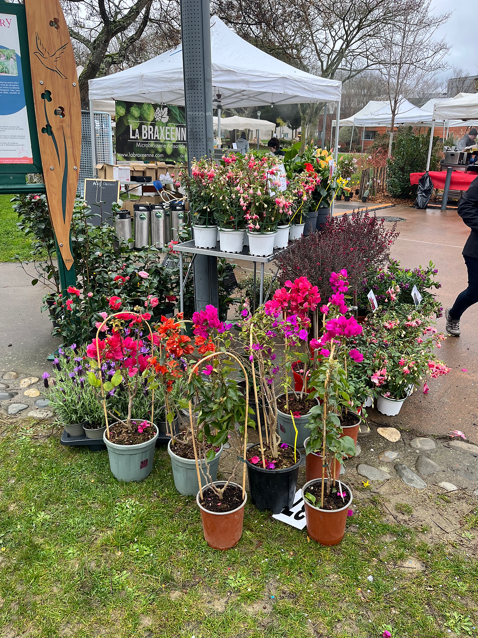Foire aux plantes de Cornebarieu