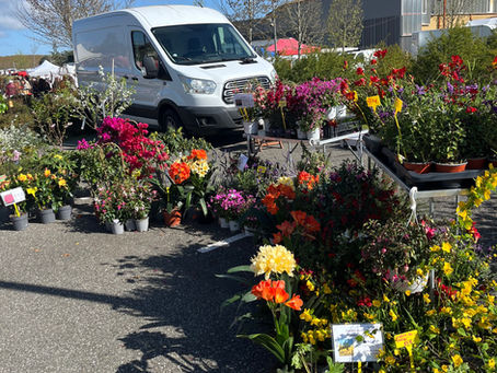 Foires aux plantes de Pavie - Gers