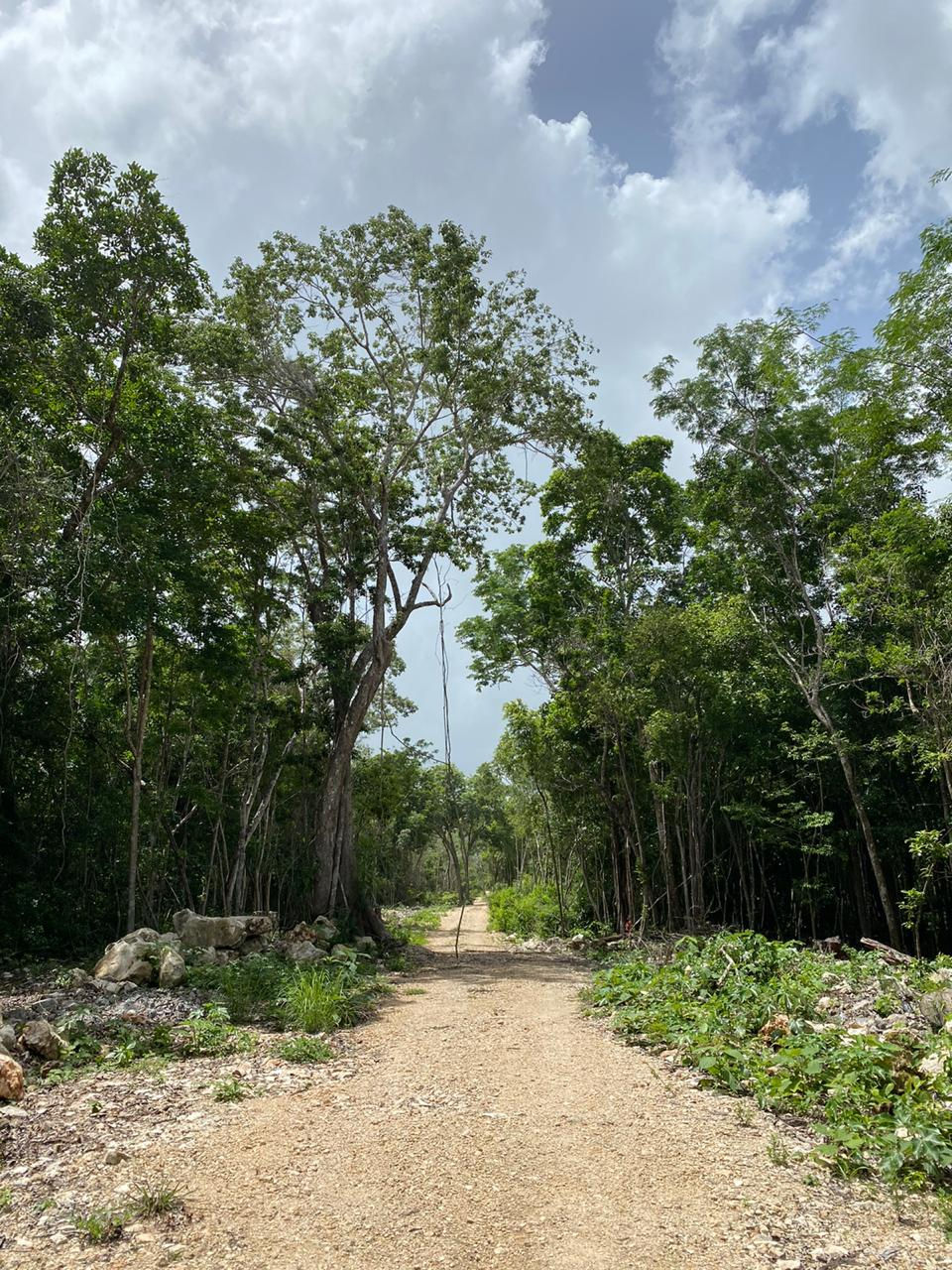 Lotes Tulum Uh May