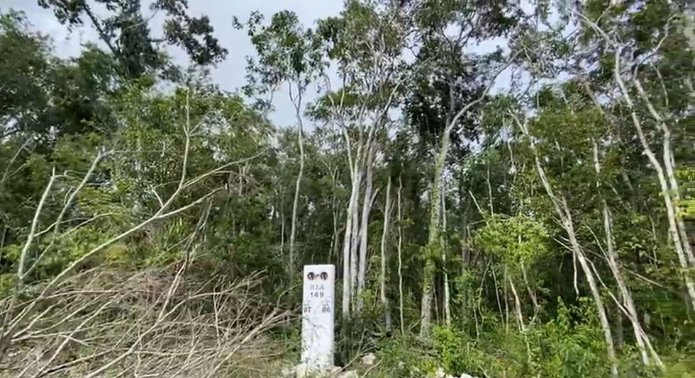 Terreno regiòn 15