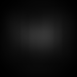 The Maple Knot, Website Client