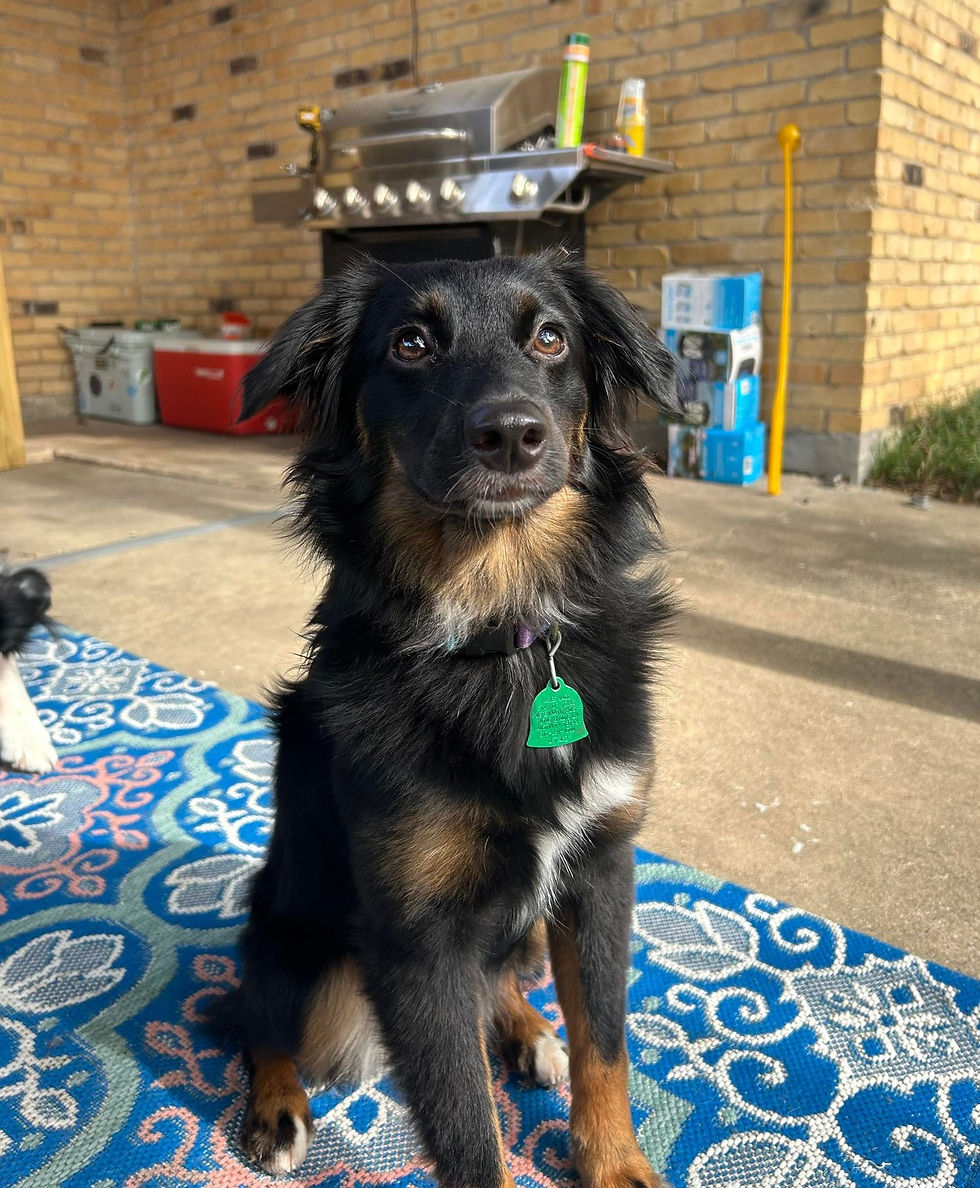 ROSIE