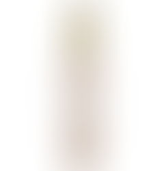 Arbonne Product Review