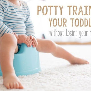 Our intro to Potty Training
