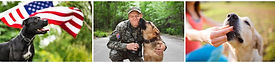 Pet Honesty Image 2.jpeg