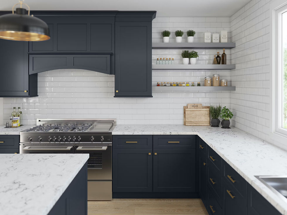 rich blue cabinets and shelves