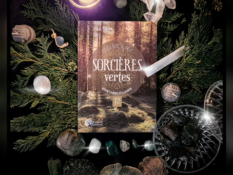 Chronique n°5 : Sorcières vertes T2 - Entre ombre et lumière _ Ann Moura
