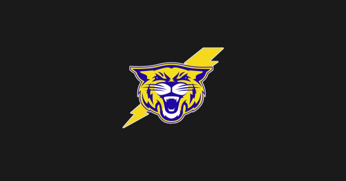 The Athletic Academy (8).png
