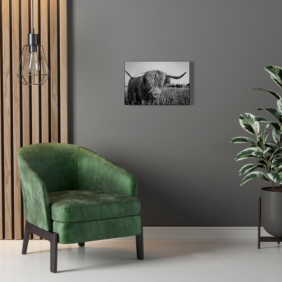 Thumbnail: Canvas Gallery Wraps