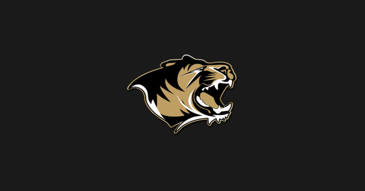 The Athletic Academy (8).png