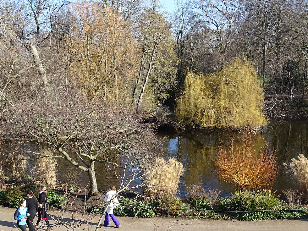 St James' Park in the winter!