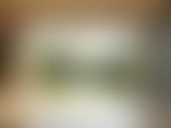 Transform Your Garden with Custom Garden Enhancements