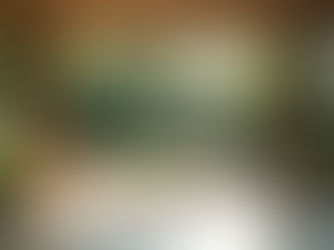 The Benefits of Investing in a Garden Room in Scotland