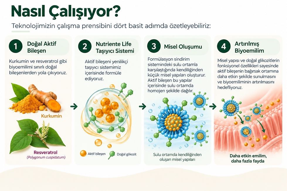 Doğal aktif bileşiklerin biyoemiliminin artırılmasını sağlayan misel esaslı Nutriente Life taşıyıcı system: Vücutta doğal sistemleri taklit ederek misel oluşturuyor ve glikozitler sayesinde emilimi daha da artırıyor