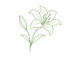 IAWAM_Logo