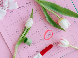 Understanding Ovulation in the Menstrual Cycle: A Comprehensive Guide to Fertility