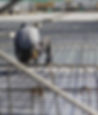 Craftsmen working on structural steel.
