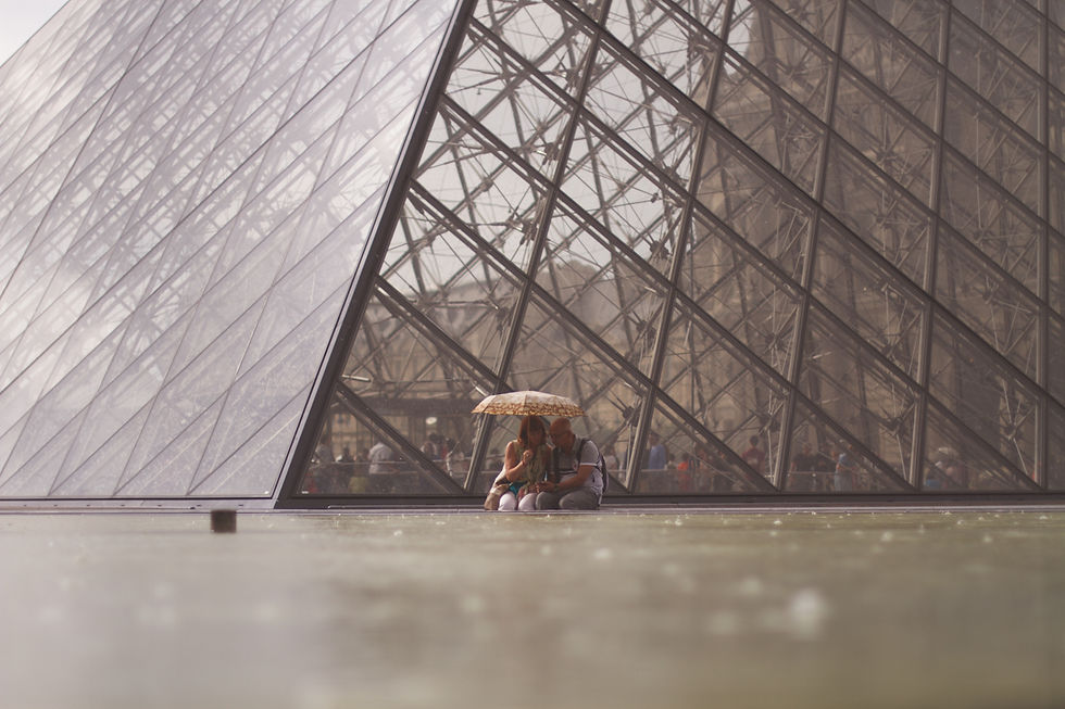 Détails de vie - Musée du Louvre - Leoh Ming Pei - Paris