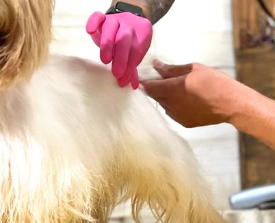 Handstripping_edited.jpg