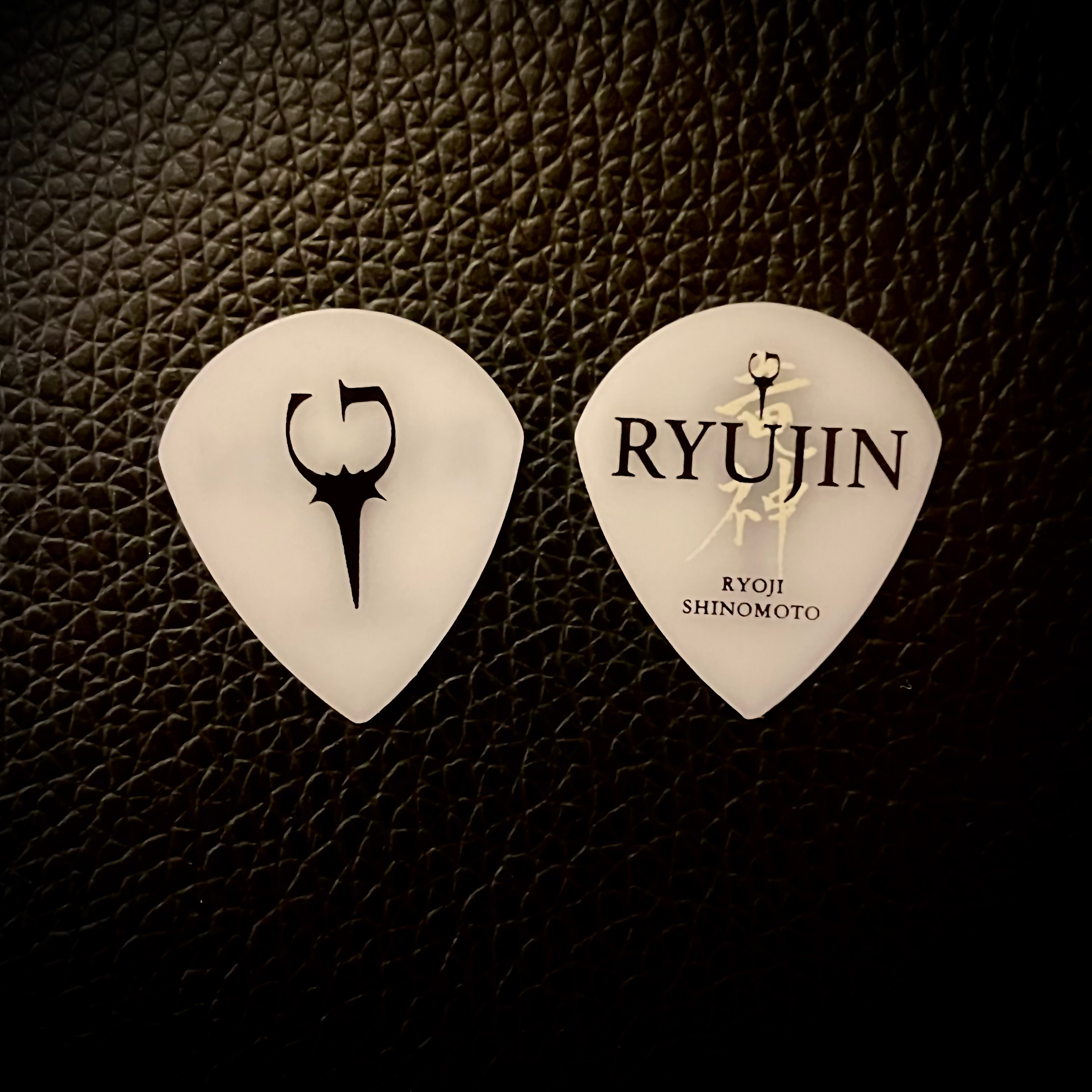 Ryoji Shinomoto Custom Guitar Pick (5-20set)