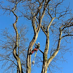 Unser Unternehmen für Garten- und Landschaftsbau bietet hochwertige Gartengestaltung und Außenanlagen für private sowie öffentliche Kunden. Wir übernehmen individuelle Gartenplanung, erstellen professionelle Pflanzpläne und sorgen für fachgerechte Bepflanzungen. Zu unseren Leistungen zählen Terrassenbau, Pflasterarbeiten, Zaunbau, Baumfällungen und Rückschnittarbeiten. Außerdem gestalten wir Vorgärten, Rasenflächen, installieren Rollrasen und Mähroboter und sorgen für moderne Gartenbeleuchtung. Mit fachgerechter Umsetzung und Liebe zum Detail realisieren wir nachhaltige und ästhetische Lösungen für jeden Garten.