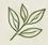 we-constellation-feuilles2.gif