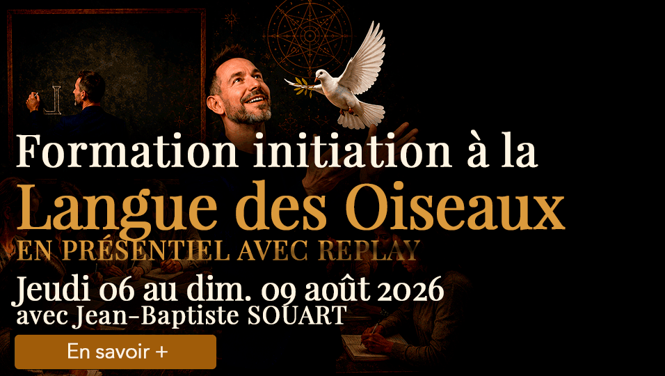 carroussel-langue-oiseaux.gif