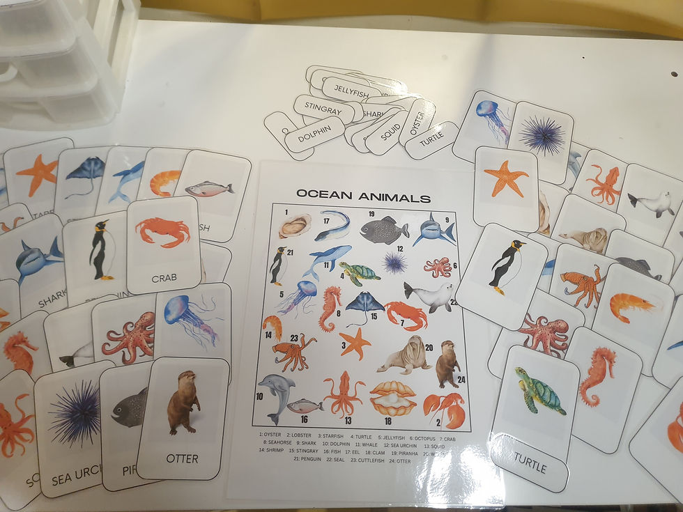 Thumbnail: Flash Card Bundle