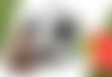 JUNIORES REGIONALI | DECISIONI DEL GIUDICE SPORTIVO DOPO LA 12a GIORNATA GIRONE EB