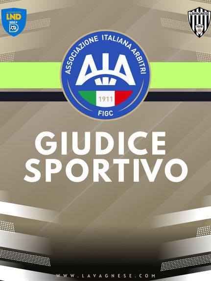 GIUDICE SPORTIVO - LE SANZIONI COMMINATE DOPO LA 23^ GIORNATA.